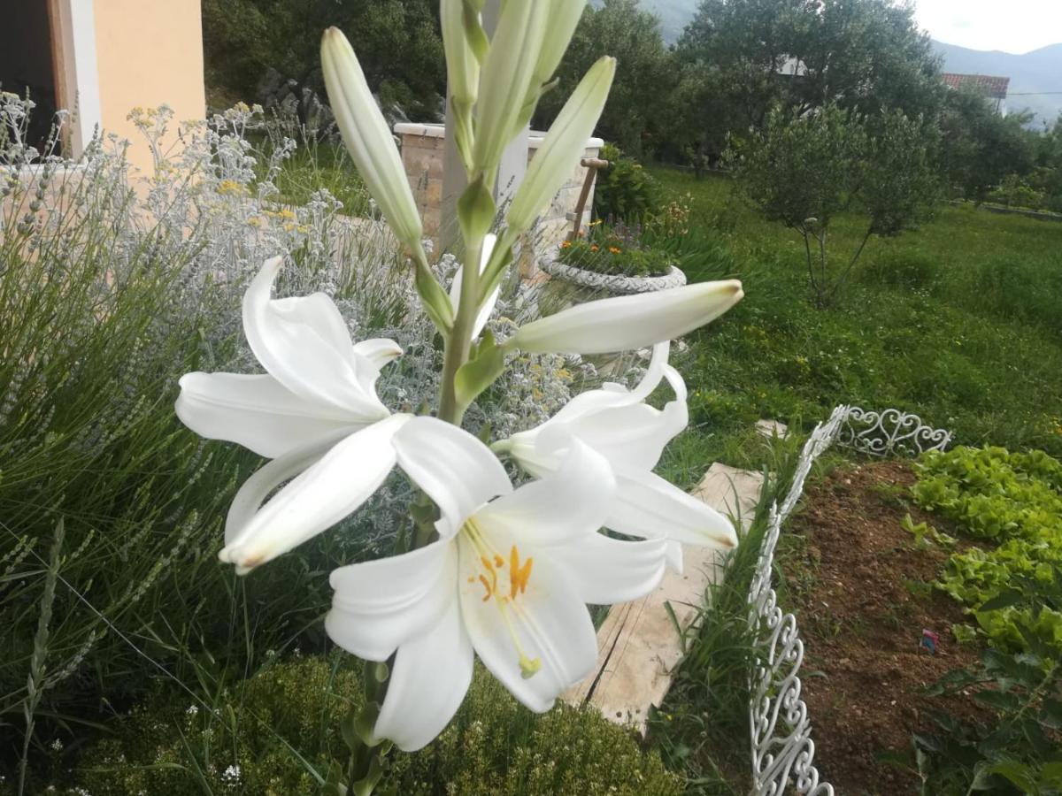 Castello Flower Apartment Kaštela Екстериор снимка